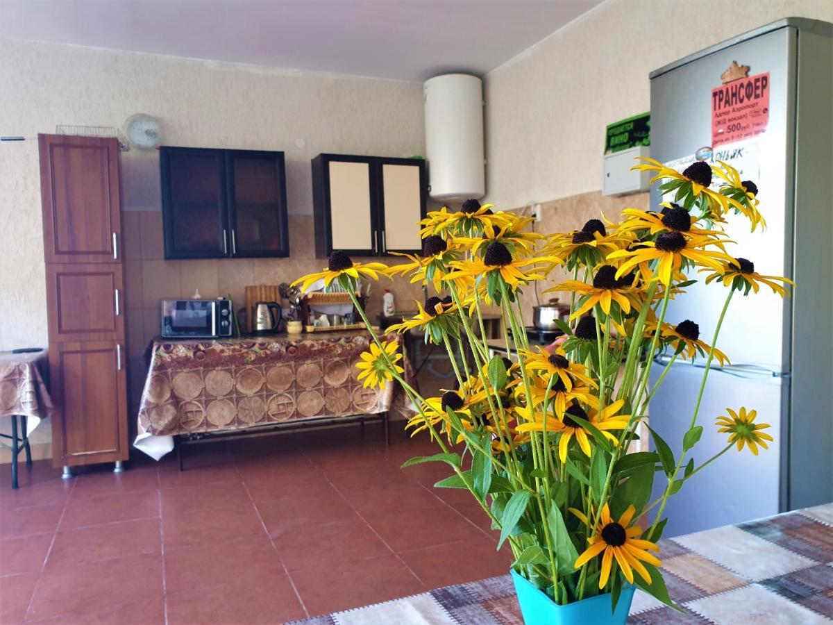Guest House Lykhny 加格拉 外观 照片