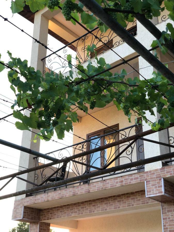 Guest House Lykhny 加格拉 外观 照片